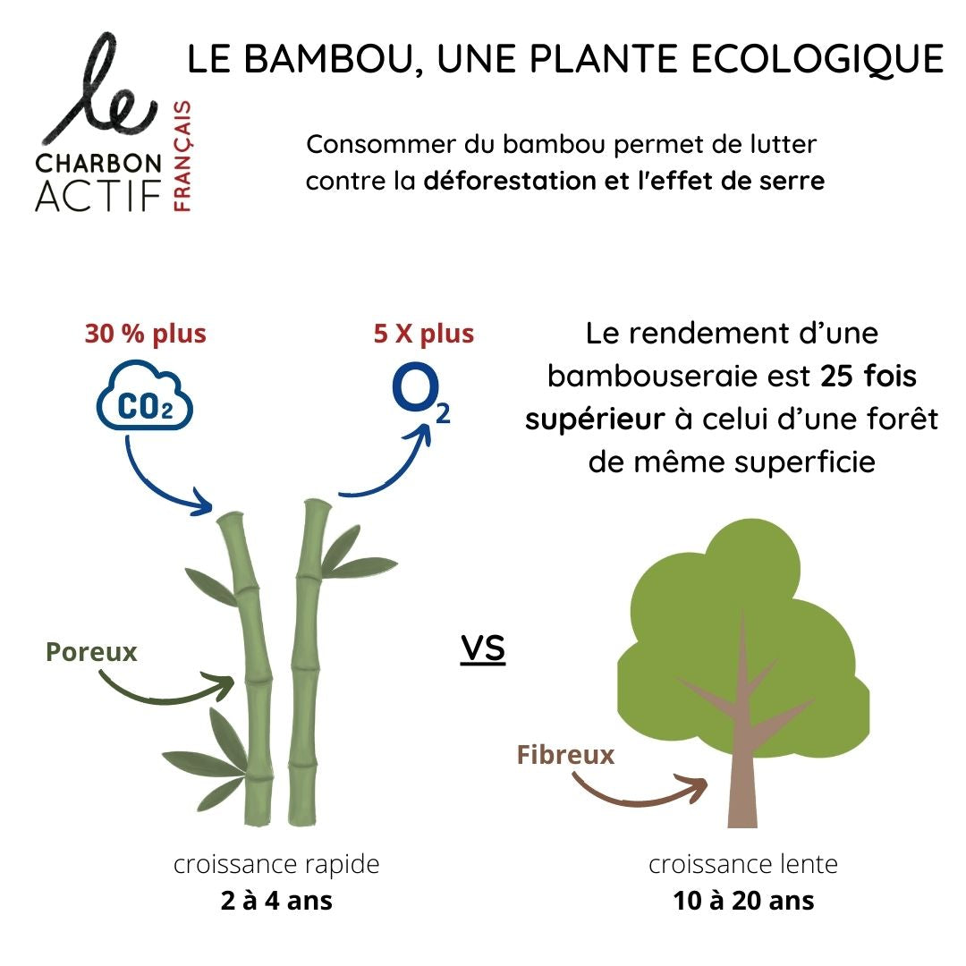 Charbon de bambou filtre à eau 100 % français