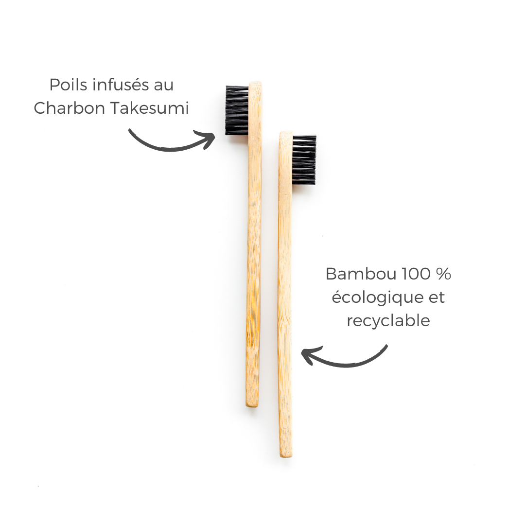 Composition de la brosse à dents écologique