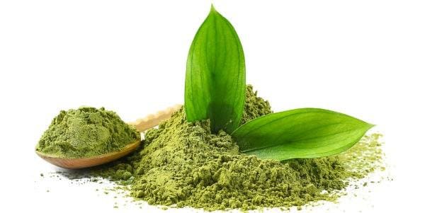 poudre de matcha et feuilles