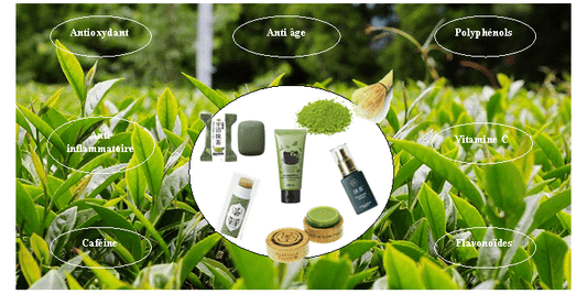Secret de beauté : votre routine soins au vert avec du matcha