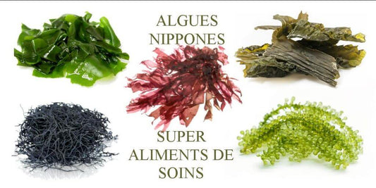 Tendance : algues japonaises en beauté