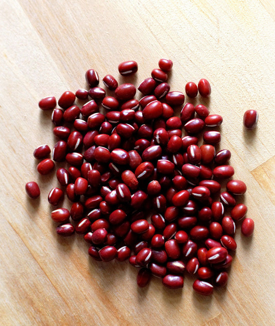 graines de haricots rouges