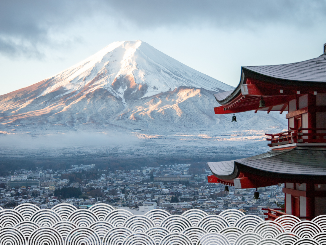 Bijin ⎪Cosmétiques naturels et charbon végétal