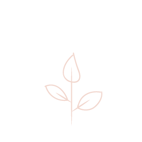 illustration branche avec feuilles contours roses