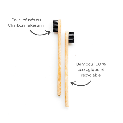 Composition de la brosse à dents écologique