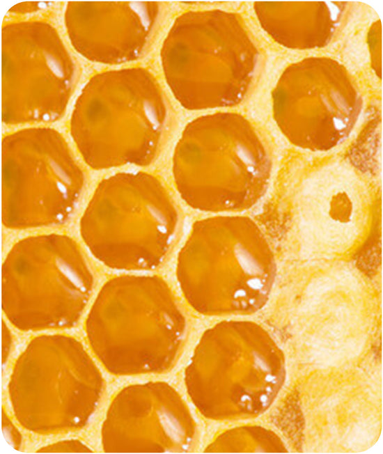 cire d'abeille parfum solide