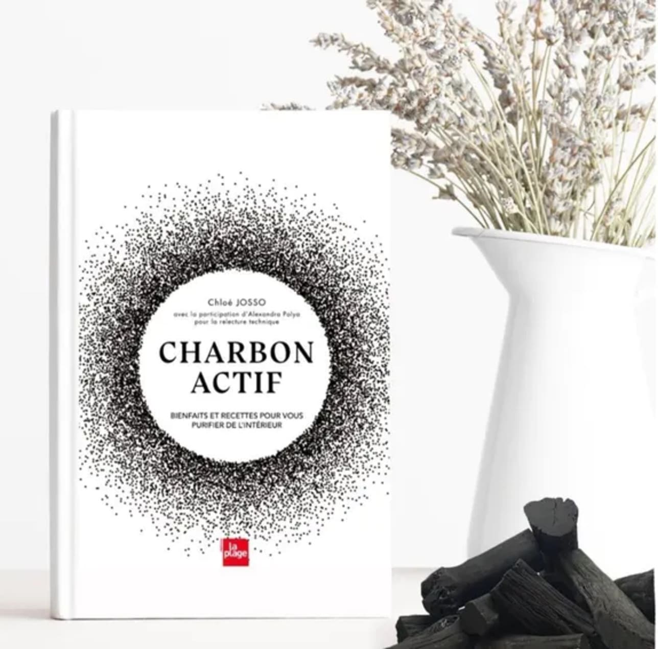 Guide complet du Charbon végétal actif